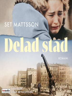 cover image of Delad stad